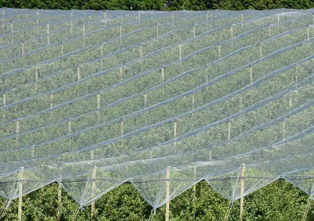 Πραστασία καλιεργιών - Δικτυ - ΕΛΓΑ